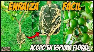 acodo aéreo fácil en espuma floral