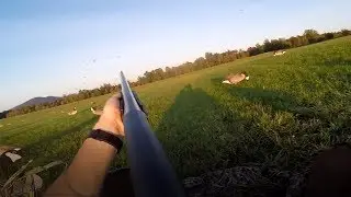 Solo Goose Hunt SUCCESS! (Catch & Cook)