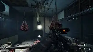 Fallout 4 Permadeath - Horizon + PANPC - Mutants and Gunners