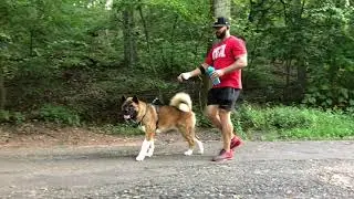 Exploring Clove Lakes Park From Forest Avenue, Staten Island, NY