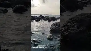 Seaweed Stone Beach