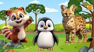 Most Beautiful Animal: Red panda, Penguain, Ocelot, cat, Starling - Animal Sounds