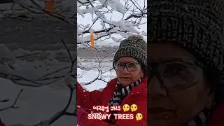 બરફનુ ઝાડ 🤔🤔/ Snowy Trees In Canada 🤔🤔