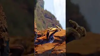 movie name... #thelionking #reels #trending #youtubeshorts #youtube #viral #disney #video #newvideo