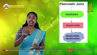KITE VICTERS Plus One Zoology Class 26 (First Bell-ഫസ്റ്റ് ബെല്‍)