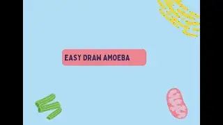 Easy Draw Amoeba