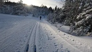 XC ski trondheim (Saupstad, Skistua, Gran&aring;sen)