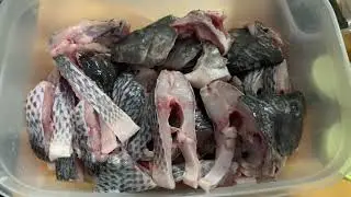 Costelinha de Tilápia.. Tempero Base Para Peixe .. Fácil e Pratico