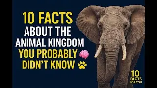 10 Facts About the Animal Kingdom You Probably Didn&rsquo;t Know 🐾🧠