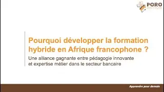Webinaire - Pourquoi d&eacute;velopper la formation hybride en Afrique francophone ?