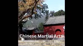 An ANTHOLOGY of CHINESE MARTIAL ARTS #chinesemartialarts #wuxhu #gongfu #kungfu #shaolinkungfu