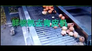 Fresh green walnut peeling machine no-water walnut process machine nut fruit process machine