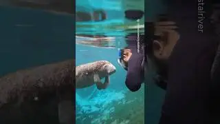 Wild experiences in Florida 🇺🇸🤯 #travel #adventure #explore #nature #florida #usa