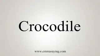 How To Say Crocodile