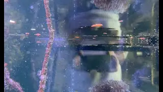 New to saltwater fish keeping - avoid feeding flake and pellet foods - the new reef keeping hobbyist