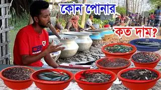 কোন মাছ পুকুরে দ্রুত বড় হয় কিভাবে মাছ চাষ করবেন- মাছ চাষ করে ভাগ্য পাল্টিয়েছে জাহাঙ্গীর