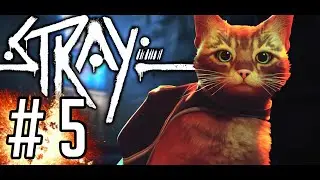 STRAY [#5] - Dachy + Sekretne Labolatorium || 4K GAMEPLAY PL (PS5)