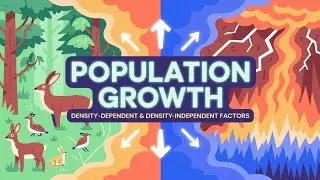 Population Growth: Density-Dependent & Density-Independent Factors