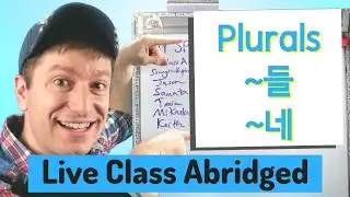 Plurals ~들 ~네 | Live Class Abridged