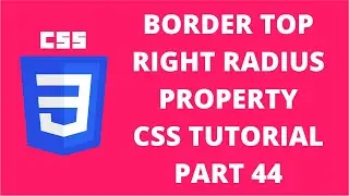 Border Top Right Radius CSS | CSS Tutorial Part 44