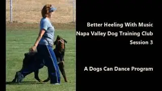 Better Heeling With Music  at Napa Valley Dog Training Club