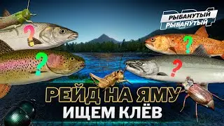 ФАРМ НА ЯМЕ ● Спиннинг и поплавок ● Русская Рыбалка 4