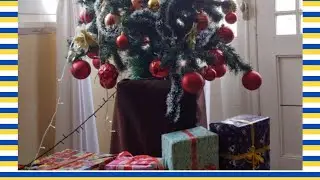 WE WISH YOU A MERRY CHRISTMAS #shortyoutube #instagram #shortvideo #tiktokshorts #rells