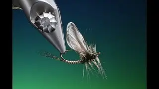 Tying Origami wings with Barry Ord Clarke