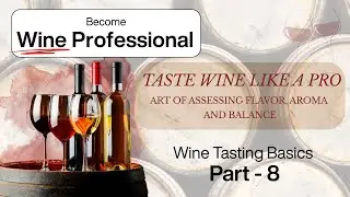 Taste Wine Like a Pro | The Art of Assessing Flavor, Aroma and Balance | Wine Through Your Senses