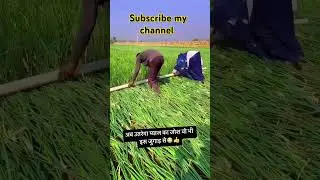 #love #bollywood #couplegoals #romantic #trending #rehkan #viralvideo #comedy #topbollywood