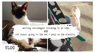VLOG: writing challenges and cat chaos