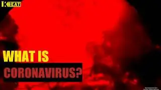 #CoronaVirusOutbreak | All you need to know about this deadly virus
