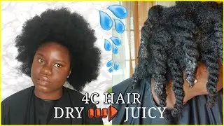 MOISTURIZING THICK, DRY, HIGH POROSITY, HIGH  DENSITY 4C NATURAL HAIR | GROWTH AND LENGTH RETENTION