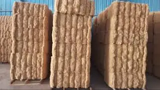 #palmfiber #fibermattress #coconut Palm Fiber, Coconut Fiber Alternative, Natural Fiber for Mattress