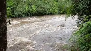Río Pitzará. Unidad educativa Celica-PVM. inicio de las lluvias. 1