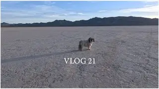 Desert Adventure Highlights [VLOG #21]
