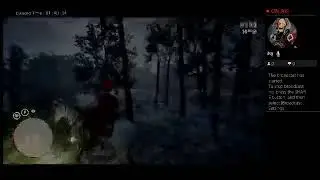 Sui-Cyko's Rockstar Red Dead Crash & Error Stream