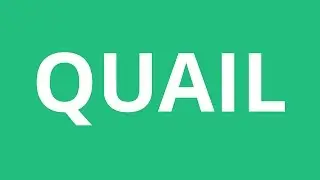 How To Pronounce Quail - Pronunciation Academy