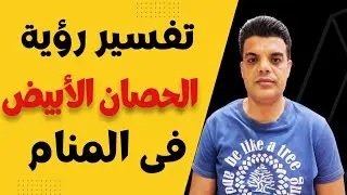 تفسير رؤية الحصان الأبيض في المنام