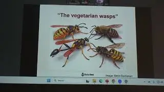 Sept 2025 Meeting with David Peck from Better Bee