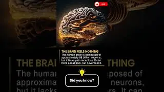 Your Brain Can&rsquo;t Feel Pain 😳 | Amazing Science Fact #healthtips #wellness #weakmemory