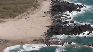 Sandy Shore vs Rocky Shore
