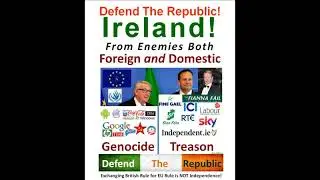 EU Rent Boy Leo and Irish Political Class, Puffed Up With EU Bravado, Are Destroying Ireland