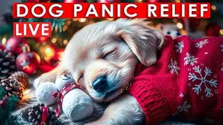 LIVE Dog Music For Sleep &mdash; Calming Sounds For Peaceful Night Rest