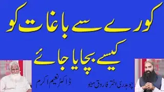 How to protect plant from disease in winter | Winter Disease  Management  / Nida e Kisan TV( urdu)