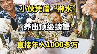 养殖顶级螃蟹的