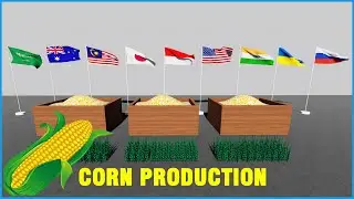 Corn Producing By Countries 3D Comparisson || Corn In the world
