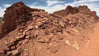 Waponi Woo and Arizona???