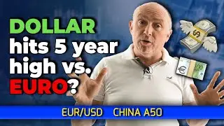 Dollar hits five year high vs Euro (Forex Forecast)
