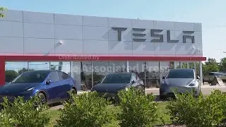 Tesla loses title as world's biggest electric vehicle maker as sales fall for second year in a row